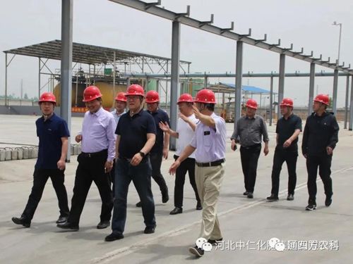 �_���h�I(l��ng)��(d��o)�W�R���ʼ��F����ָ��(d��o)