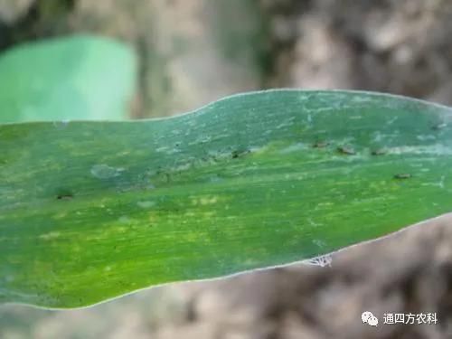 ���הQ����ô�k����ץ�o��Q��Ӱ푮a��!!!