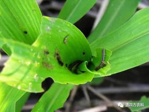 ���הQ����ô�k����ץ�o��Q��Ӱ푮a��!!!