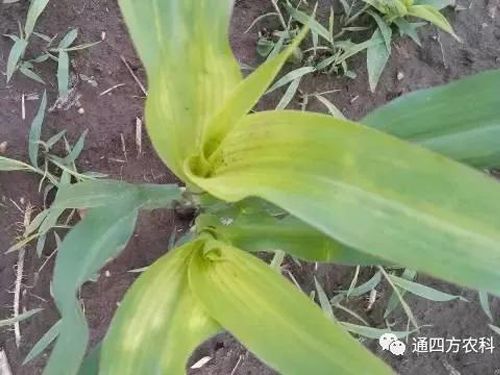 ���הQ����ô�k����ץ�o��Q��Ӱ푮a��!!!