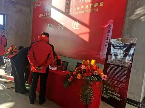 ����_������|����ʡ����